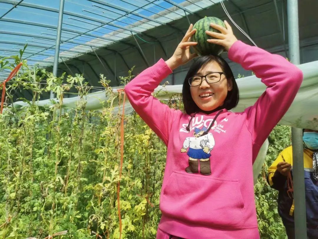 西瓜穿网兜、住空中～济南大姐黄河边建500亩“吃瓜”小镇
