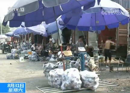 节前看市场：蔬菜整体价格将逐步回落