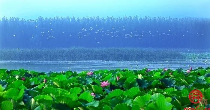 15秒短视频与《三泉溪暖》一起登上山东卫视