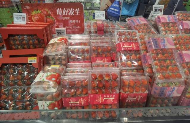 实探济南草莓产地：大丰收！价格低于往年 “能实现草莓自由了”