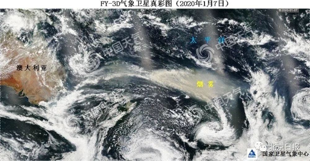 澳袋鼠岛一半被烧，军方清理动物尸体，专家：山火后恢复生态需百年