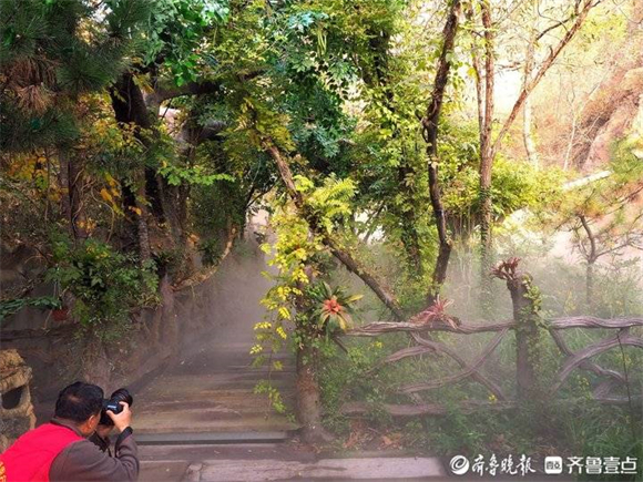 金色朝阳穿过秋雾，让济南莱芜小山谷变身仙境
