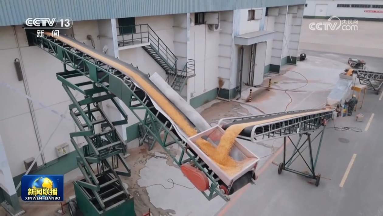 2023年我国全年收购粮食超8000亿斤