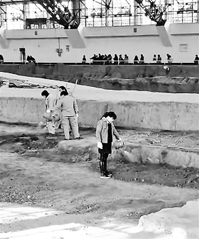 网友质疑“秦兵马俑坑内浇水” 管理部门回应：既防尘又保护文物