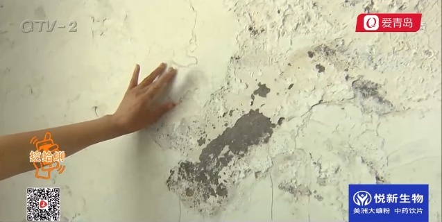 女子胶州买房十年没拿到钥匙 屋子已成鸽子窝