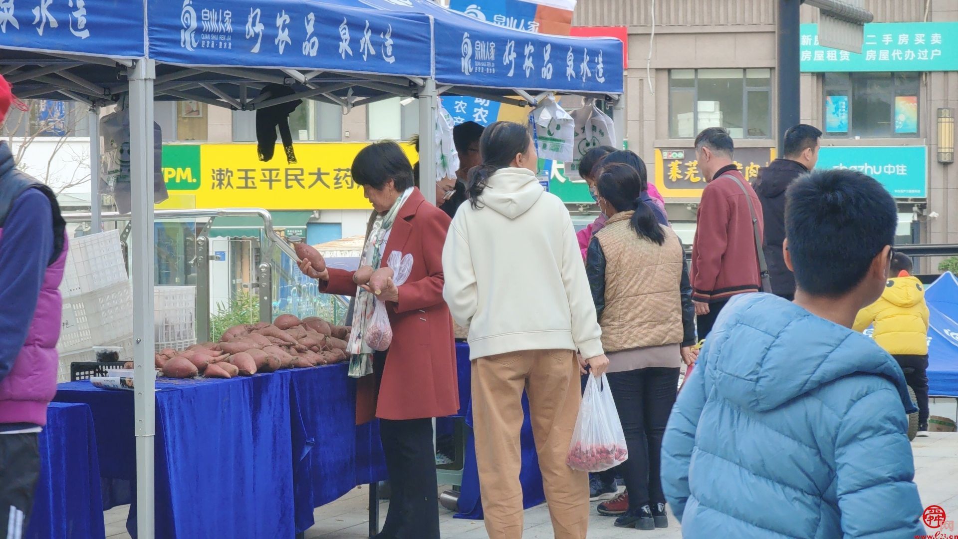 烟火气“沉甸甸”！ 泉水人家社区里收获暖融