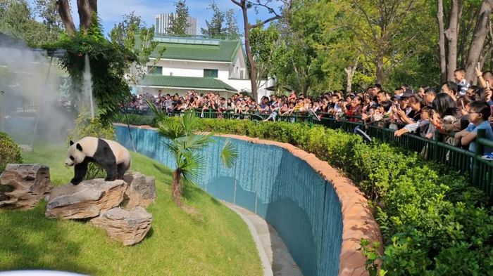 人气十足！10月1日千佛山、动物园等公园景区迎来假期首个客流高峰