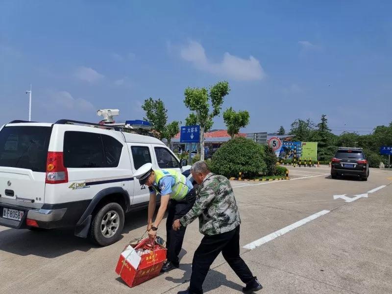 看哭了！为给儿子送鸡蛋，烟台一老父亲竟爆走高速