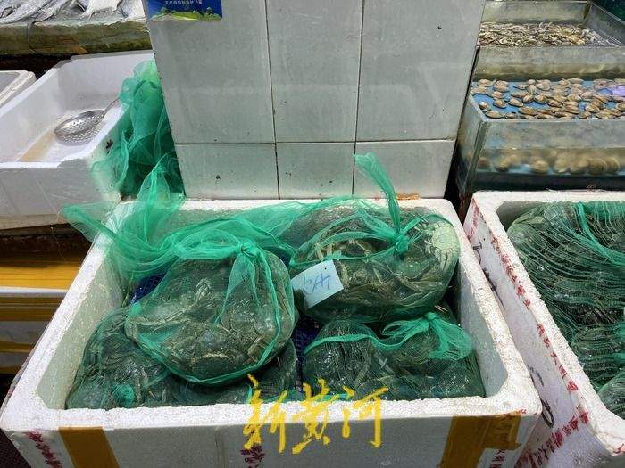 上市旺季大闸蟹降价引关注,济南市场最低10元/只,业内人士:与产量增高有关