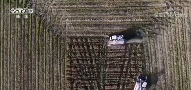 国新办发布会：“粮食综合生产能力”列入“十四五”约束性指标