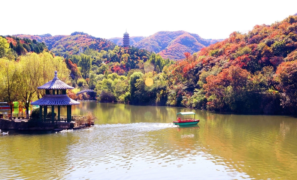 秋染红叶 五彩斑斓 济南红叶谷风景正好