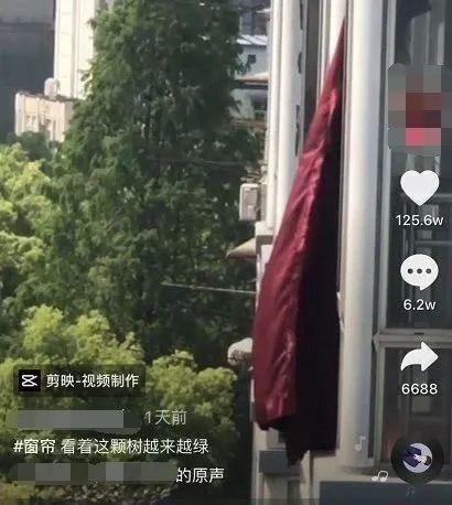 大结局来了！被拍成连续剧的窗帘户主回家了 主人安全回家网友悬着的心落了地