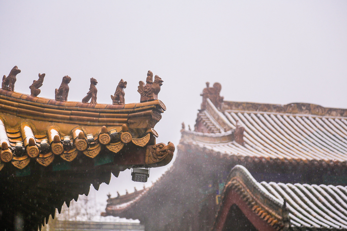 济南的冬天：雪花落在泉水里 全是诗情画意