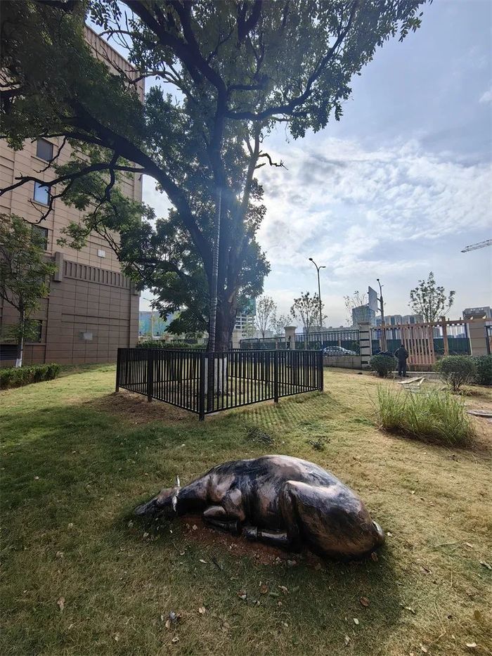 古槐、古皂荚、古榆、古银杏，2023年济南添20处“古树保护园”