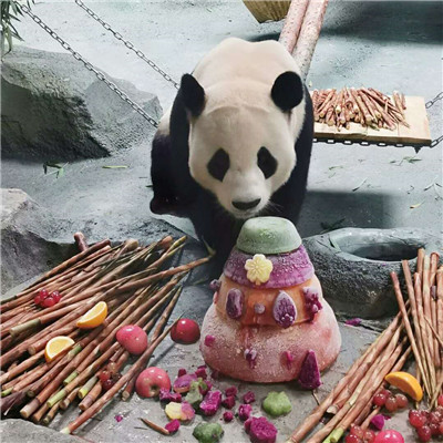 4只大熊猫到这个地方安家落户！9月16日与游客见面