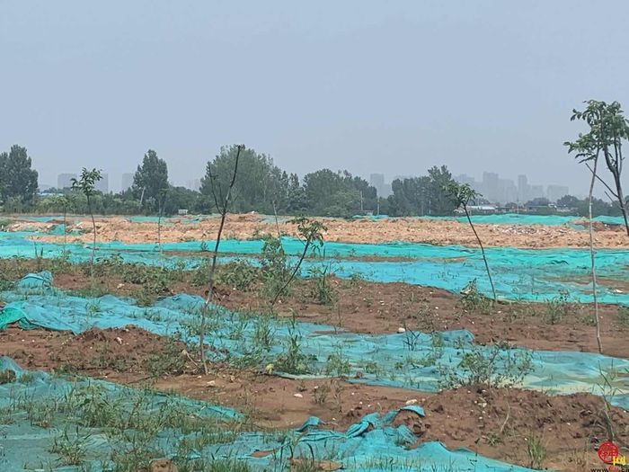 【啄木鸟在行动】国泰鑫城附近渣土未覆盖 防尘措施不到位