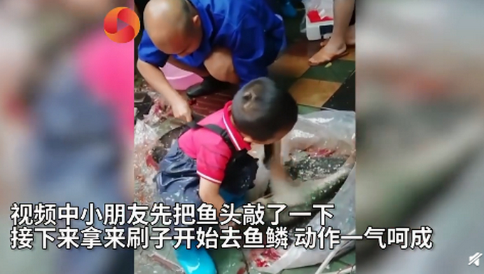 小朋友杀鱼去鳞手法熟练一气呵成！网友：再不开学可以继承父业了