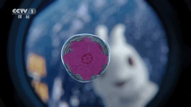 兔年春晚:致敬最可爱的人