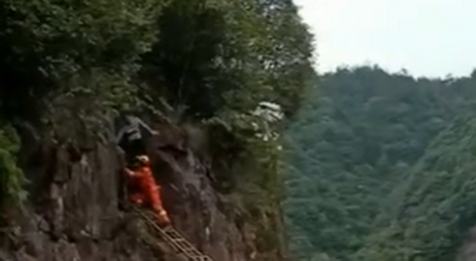 路边的野花不要采！温州消防蜀黍昨天救了个“采花大盗”......