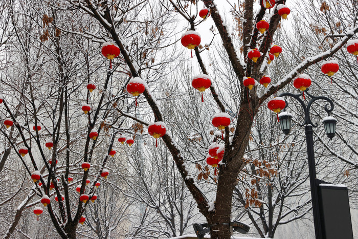 瑞雪兆丰年 泉城年味浓