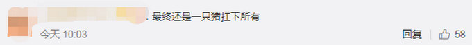 武汉宠物猪独自在家坚守两个月 瘦的肚子都没了