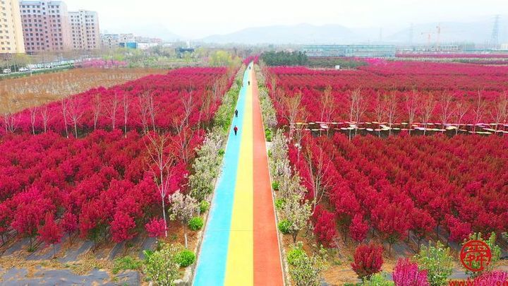 展官庄特色  促乡村振兴——2024章丘区特色产品展销推介会我们来了！