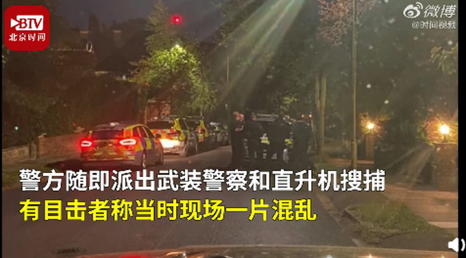 伦敦一宠物猫被误认为豹子惊动警方，直升机抓捕，网友：太像了