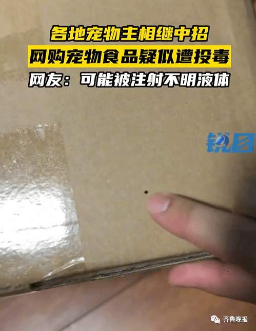 网购猫狗粮发现针孔质疑投毒 多家宠物店铺相继宣布