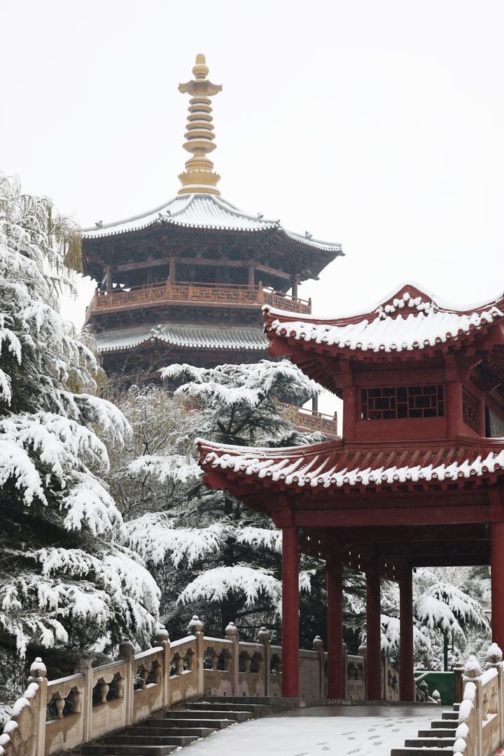 济南迎冬雪，明水古城展现“北国江南”雪景画卷