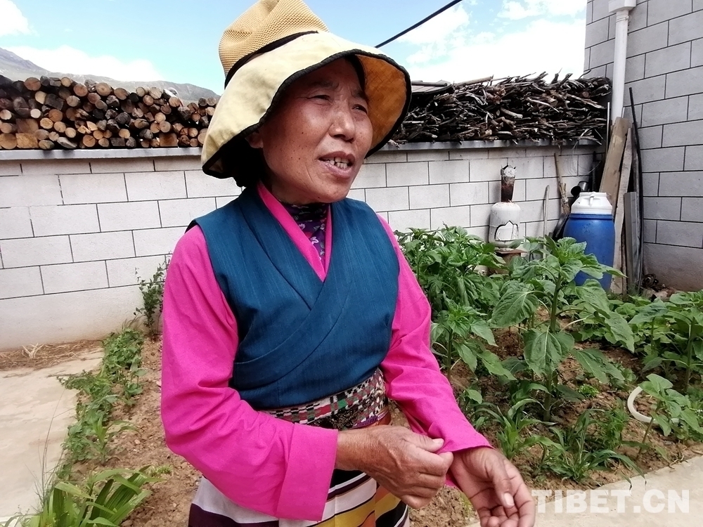 西藏山南：凝聚统战合力助力脱贫攻坚