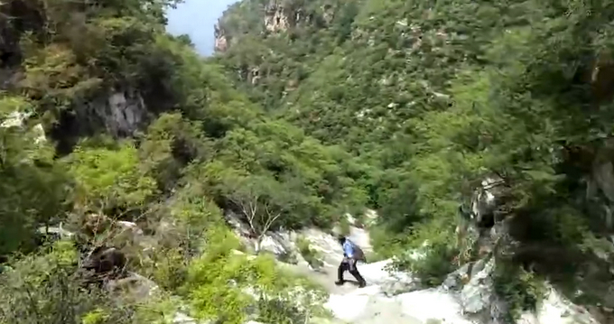 路边的野花不要采！温州消防蜀黍昨天救了个“采花大盗”......