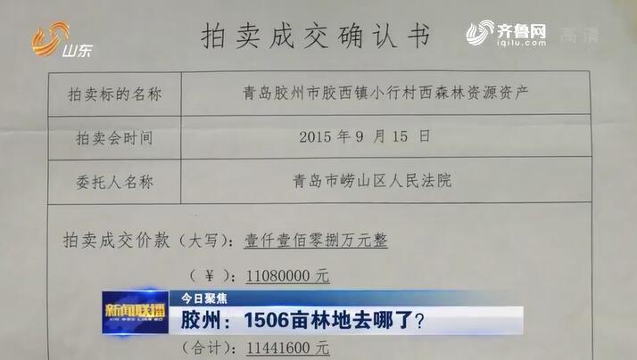 通过法院拍得1506亩林地有证无地 胶州市自然资源局工作人员：管不了