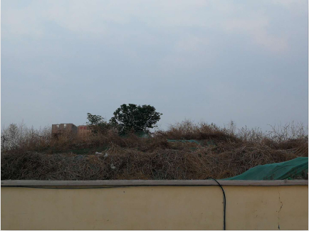 啄木鸟行动：北园高架路与匡山东路交叉口东南角处部分土堆裸露、防尘网覆盖不全