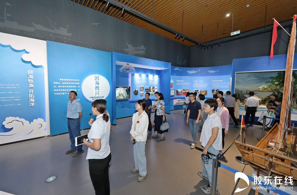 漫步“海滨慢道”，拥抱“生态长岛”