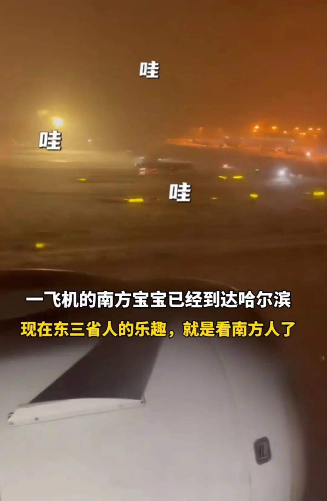 南方小土豆勇闯哈尔滨？连冻梨都开始摆盘了！