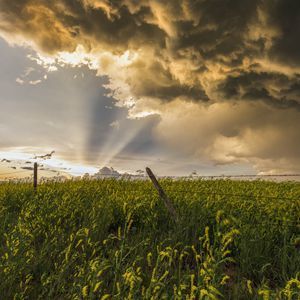 龙卷风来得太快！拿捏好这些关键知识点