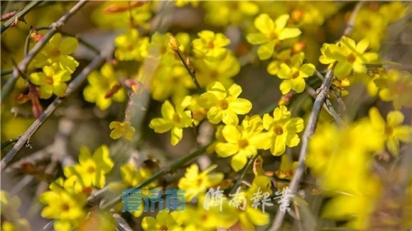 谨防感冒！冷空气再放大招 周一全天风雨交加降温5℃