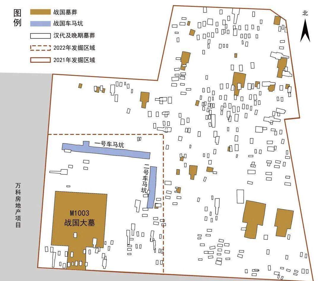 开启鲁版考古“盲盒” 山东4项目入围2022全国十大考古新发现