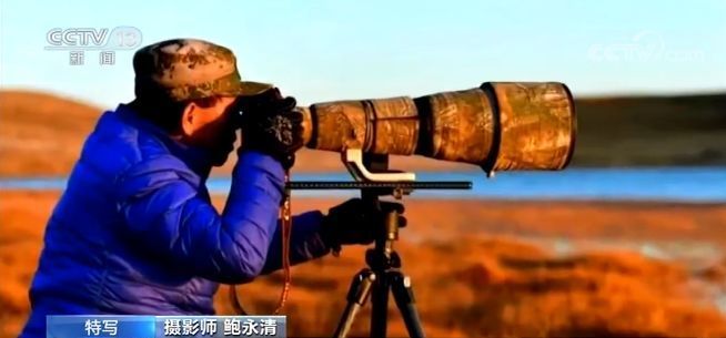 这张被网友玩坏了的照片拿下世界大奖！摄影师：这只旱獭后来……