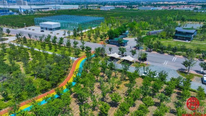 15秒短视频与《三泉溪暖》一起登上山东卫视