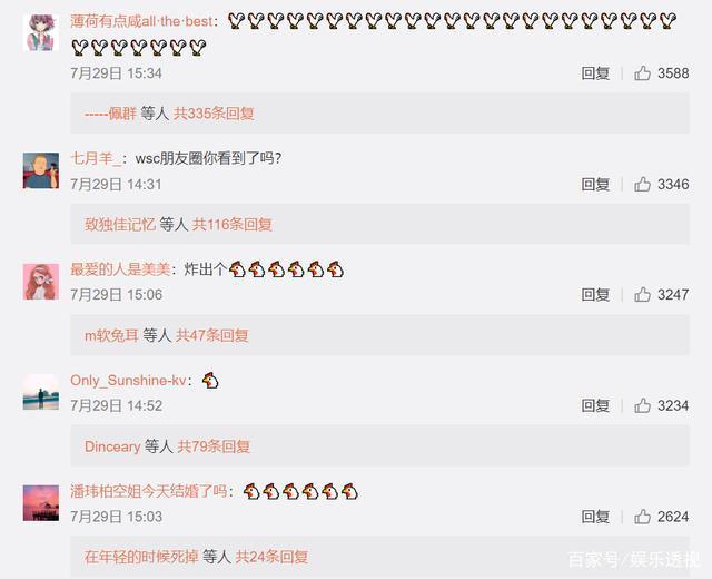 潘玮柏工作室律师声明|【不堪入目】潘玮柏工作室律师声明 网友：应该告王思聪