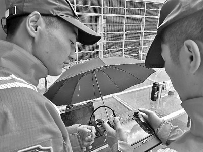 象群为何“流连”这里