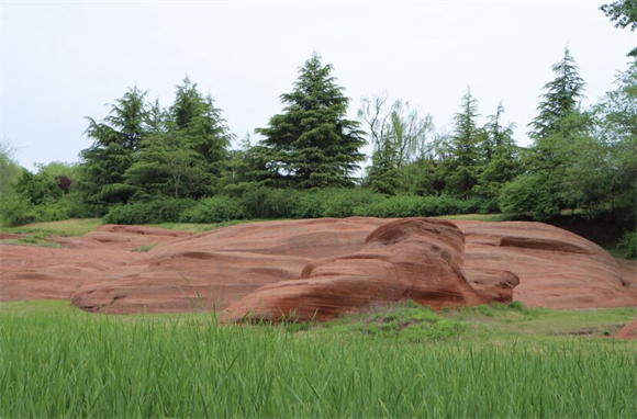 红石公园：在这里欣赏侏罗纪红石