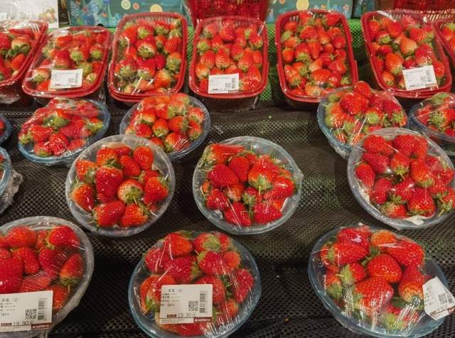 实探济南草莓产地：大丰收！价格低于往年 “能实现草莓自由了”