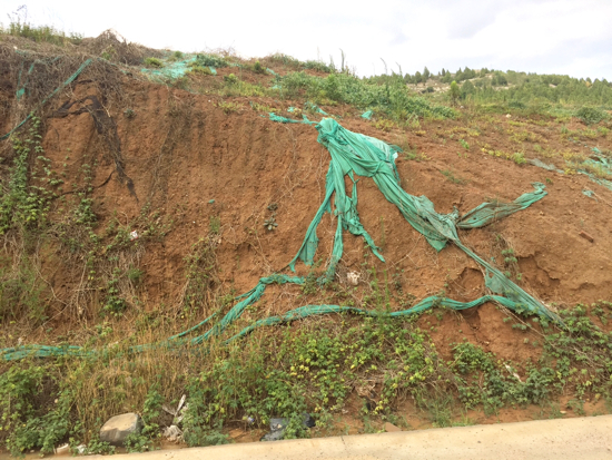 【啄木鸟在行动】凤凰国际小区东门附近渣土覆盖不全