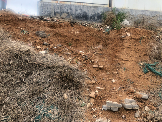 【啄木鸟在行动】奥体中路与坤顺路交叉口东侧大片山体裸露