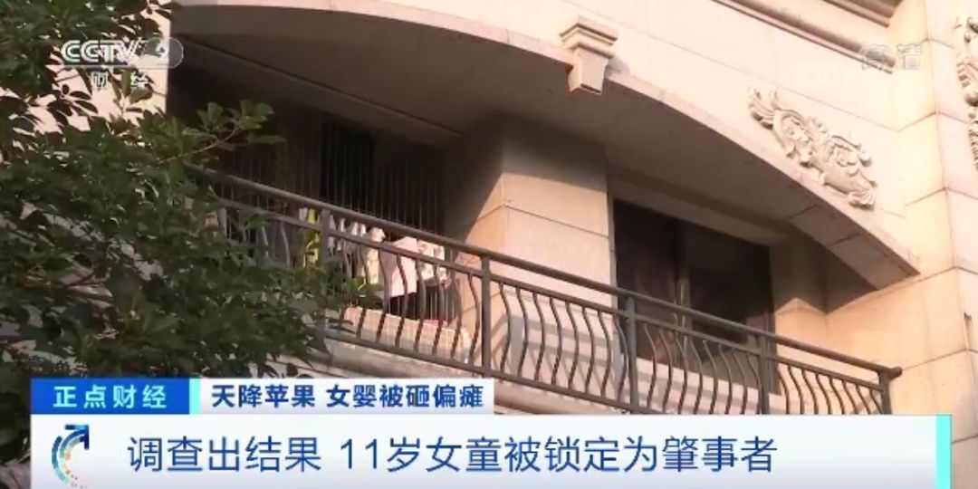 11岁女童24楼扔下苹果，砸中女婴致十级伤残！谁来赔？