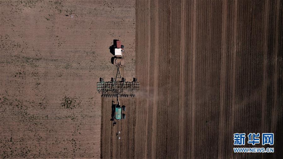 特稿：节约粮食，世界在行动