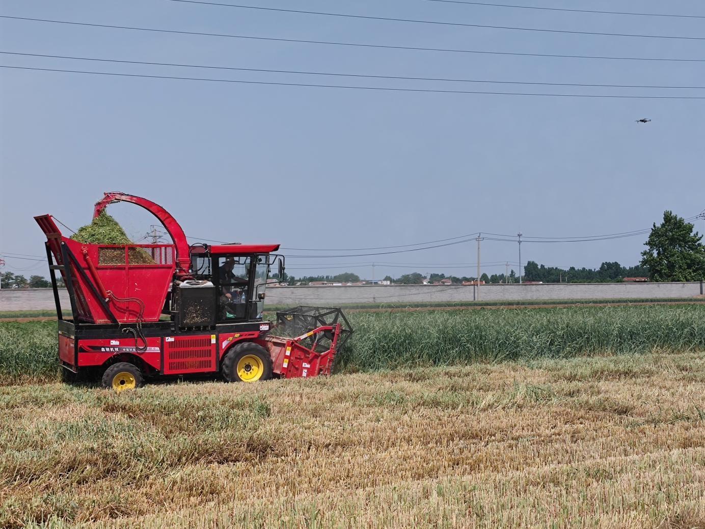 山东农机科研新答卷：成套技术装备助推“家庭牛场”机械化水平