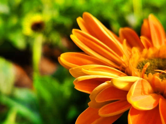 【春耕进行时】回看舜网记者带您走过的这些地方